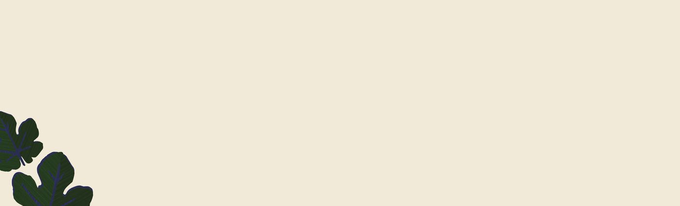 BG STORA SÄLLSKAP LJUSBEIGE NEW